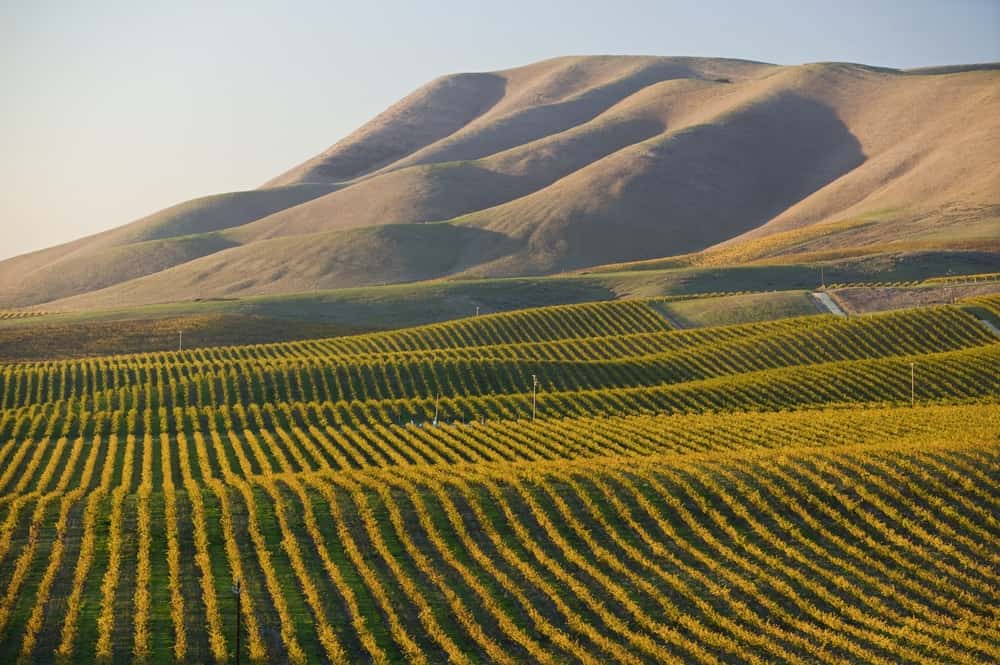 Mountains and vineyards in Santa Maria, CA